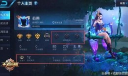 王者蝴蝶最新爆料视频,揭秘游戏幕后秘密与未来动向