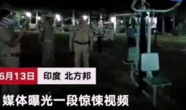 恐怖新闻爆料大全最新,恐怖新闻爆料大全深度剖析