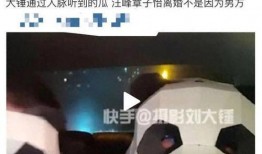 刘大锤爆料猛料最新视频,独家猛料震惊娱乐圈！