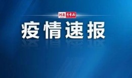 藁城爆料最新新闻视频,视频揭示惊人事件，详情揭晓！