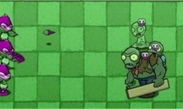 pvzbt最新爆料,揭秘植物大战僵尸最新动态与秘辛