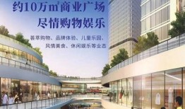 深圳爆料真实案例最新消息,真实案例揭示城市生活暗流涌动