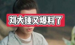 大锤爆料了吗最新消息,揭秘娱乐圈惊人内幕